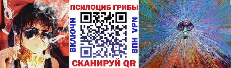 Галлюциногенные грибы GOLDEN TEACHER  цена   Новый Уренгой 